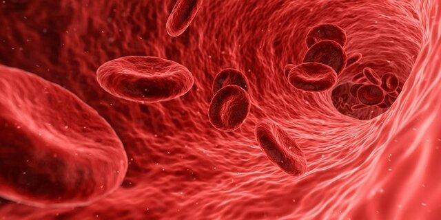 سلول های خونی، در روند پیری موثر هستند