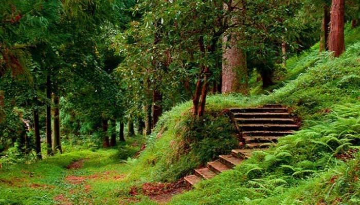 باغ ملی گیاه شناسی گرجستان
