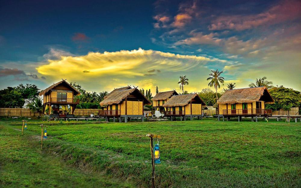 Laman Padi
