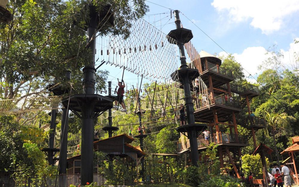 SkyTrex