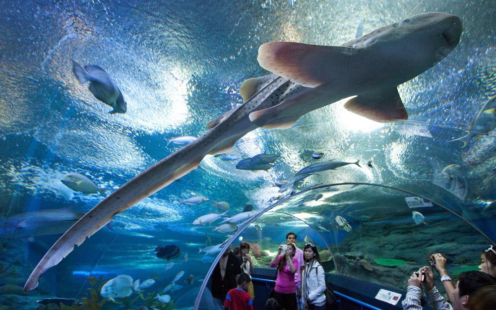 Underwater World