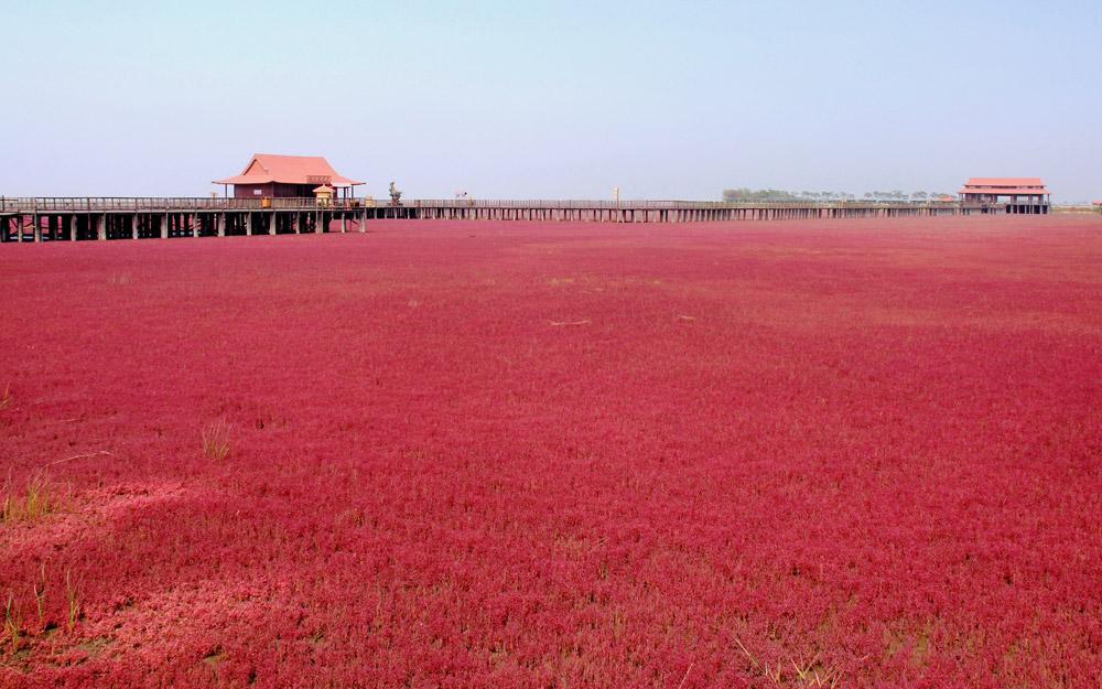 Red Beach