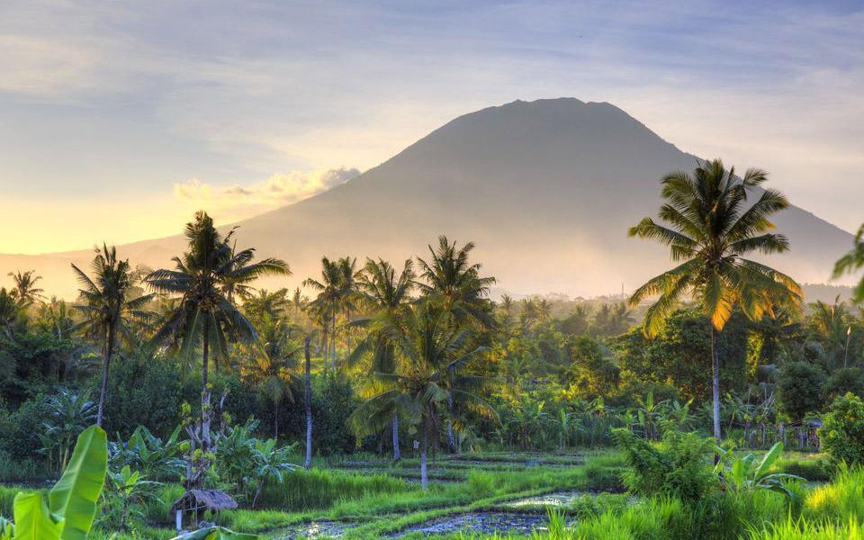 Bali Bali