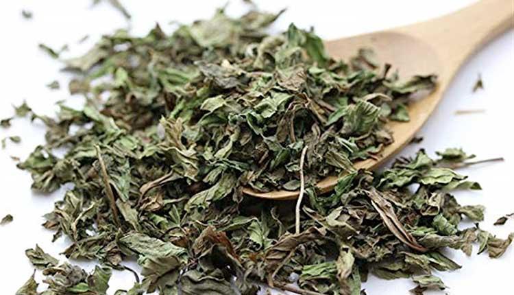 خشک کردن نعنا با روش های راحت و کاربردی!