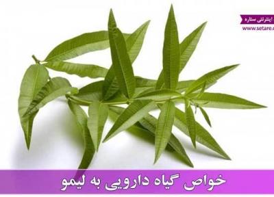 آشنایی با خواص به لیمو و عوارض آن