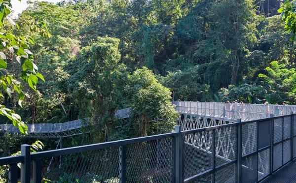 Canopy Walkway Canopy Walkway