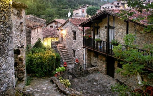Beget