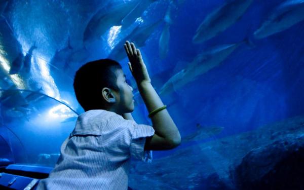دنیای زیر آب پاتایا (تایلند)