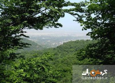 گلوگاه؛ منطقه ای با هزاران سال تاریخ و طبیعت در مازندران، عکس