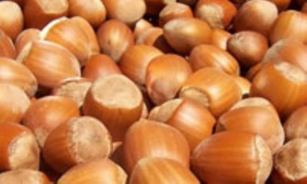 فندق برای بیماران دیابتی