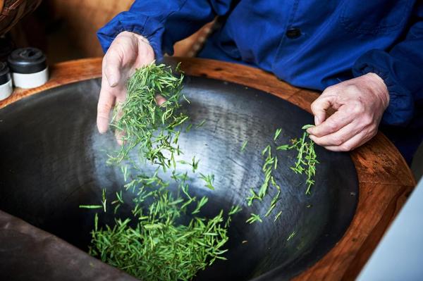 مزرعه چای میجیاوو هانگزو (چین)