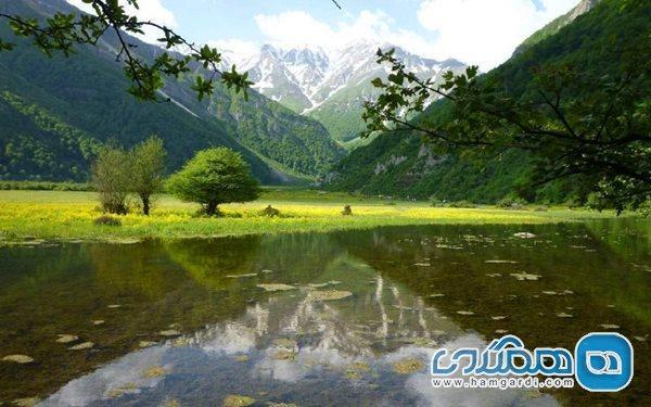 جنگل دوهزار جنگلی بکر در تنکابن است