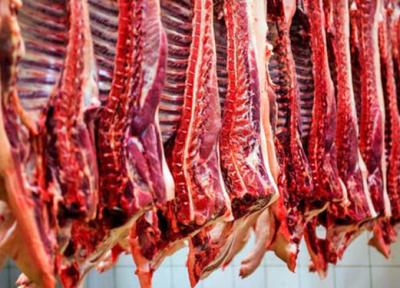 انواع گوشت در بازار چند قیمت خورد؟
