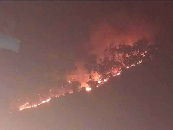 آتش سوزی گسترده در منطقه حفاظت شده خائیز