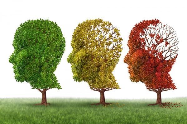 برترین رژیم غذایی برای پیشگیری از آلزایمر