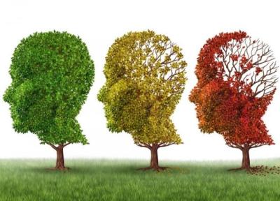 برترین رژیم غذایی برای پیشگیری از آلزایمر