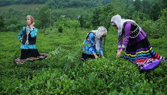 زیباترین روستاهای اطراف لاهیجان